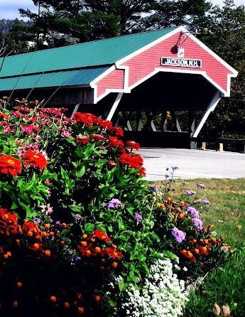 Covered Bridge River View Lodge (Adults Only) Jackson Exterior foto