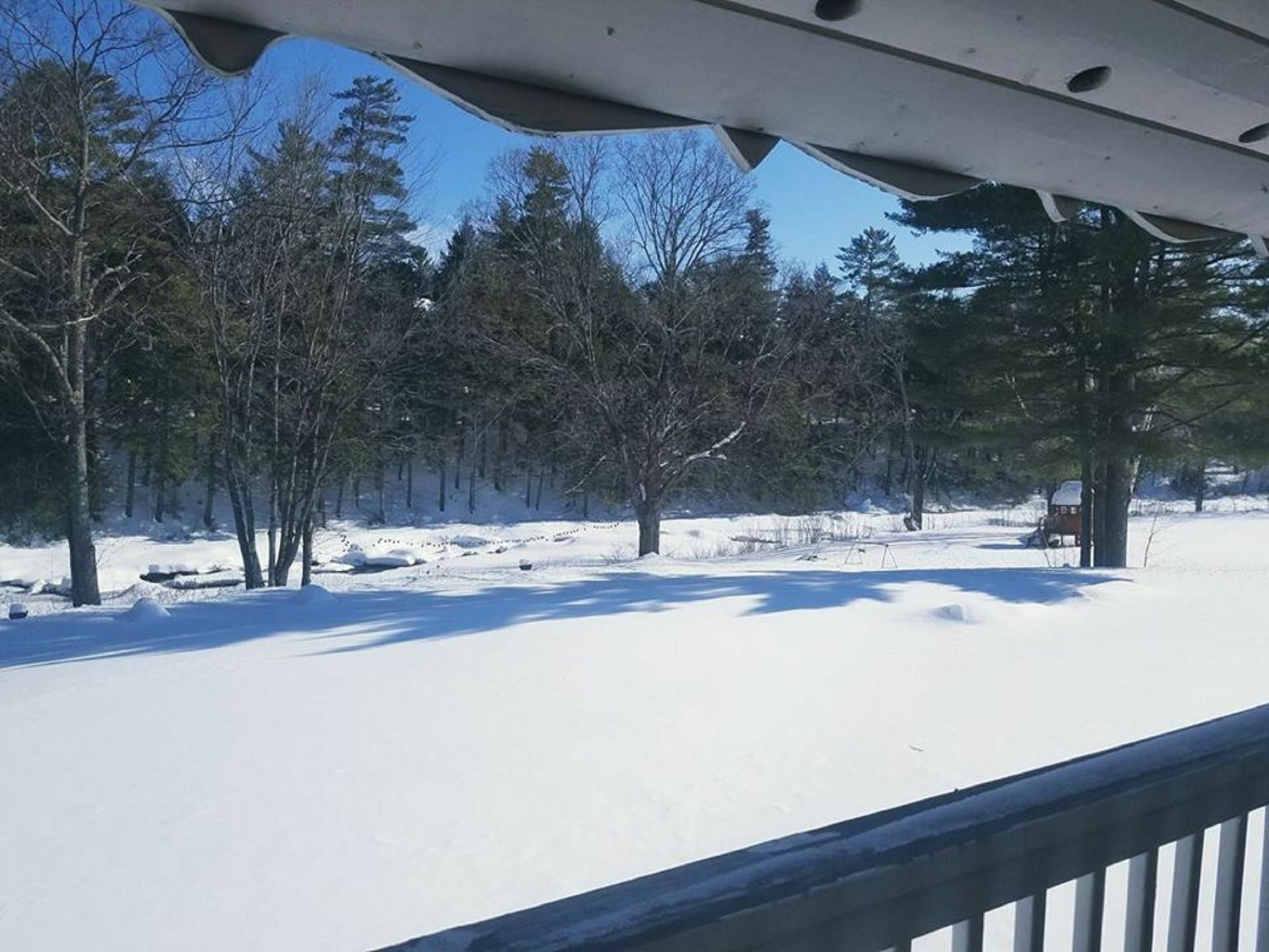 Covered Bridge River View Lodge (Adults Only) Jackson Exterior foto